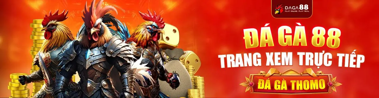 Trận đấu đá gà kịch tính với nhiều khán giả theo dõi và đặt cược tại Bet188 khuyến mãi